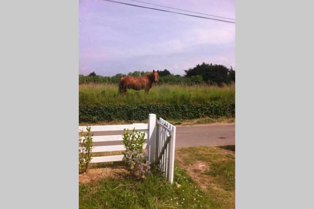 Detached House Near Beaches Esquibien 외부 사진